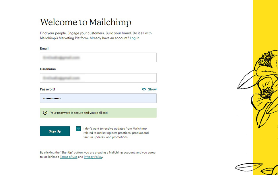 Welcome to Mailchimp