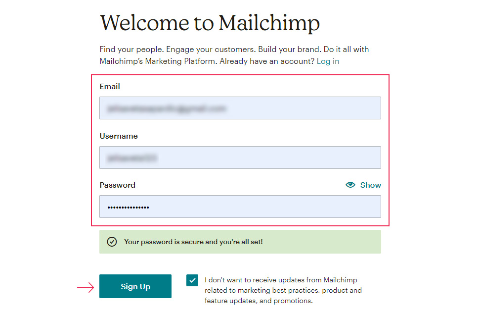 MailChimp Sign Up