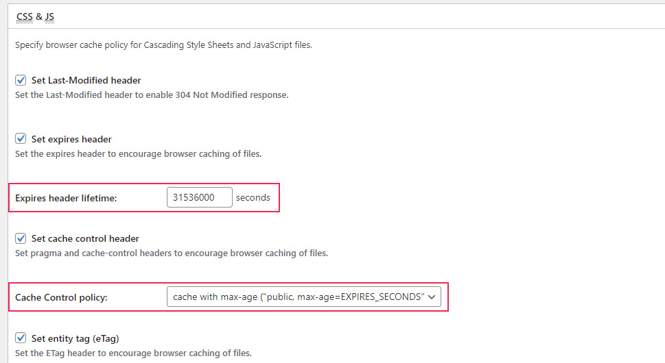 W3 Total Cache CSS & JS