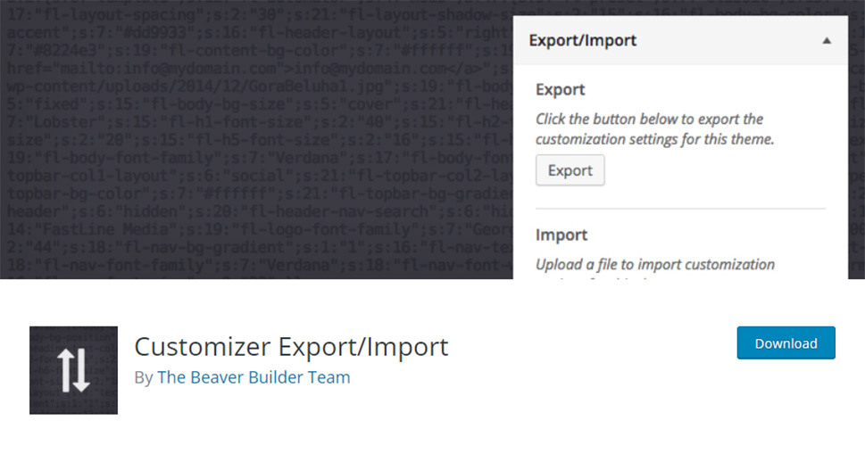 Customizer Export/Import