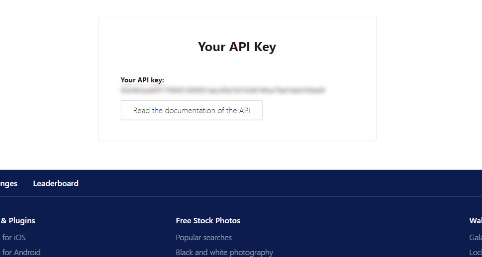 Your API Key Generated