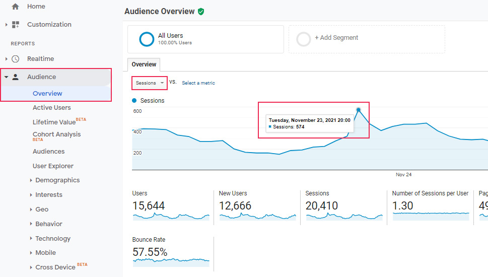 Google Analytics Auidence Overview