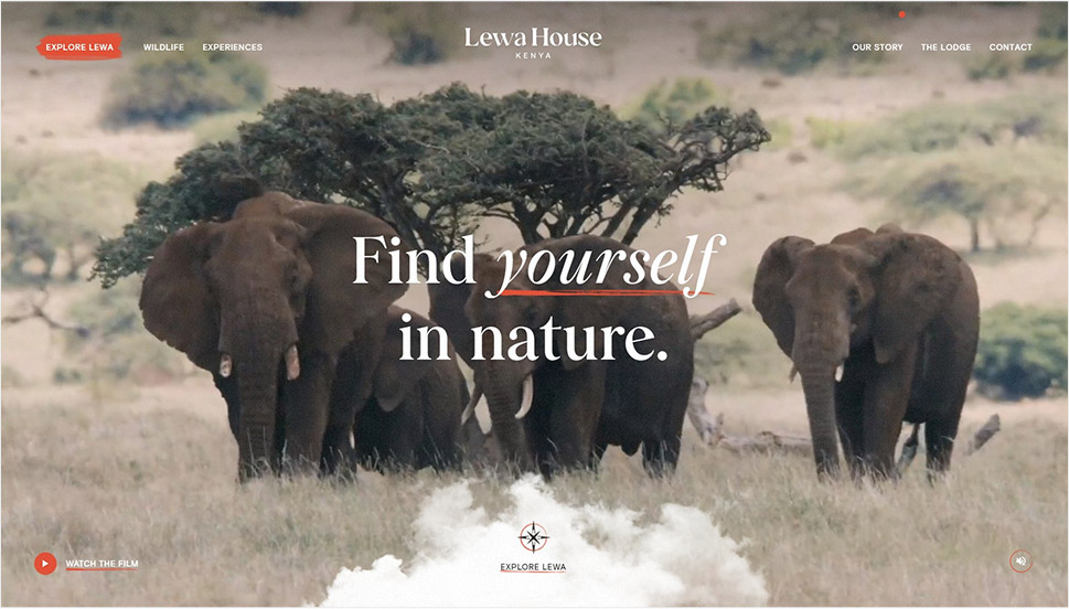 Lewa House