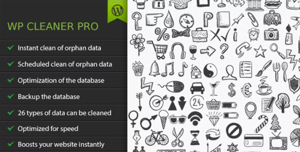 WP Cleaner Pro