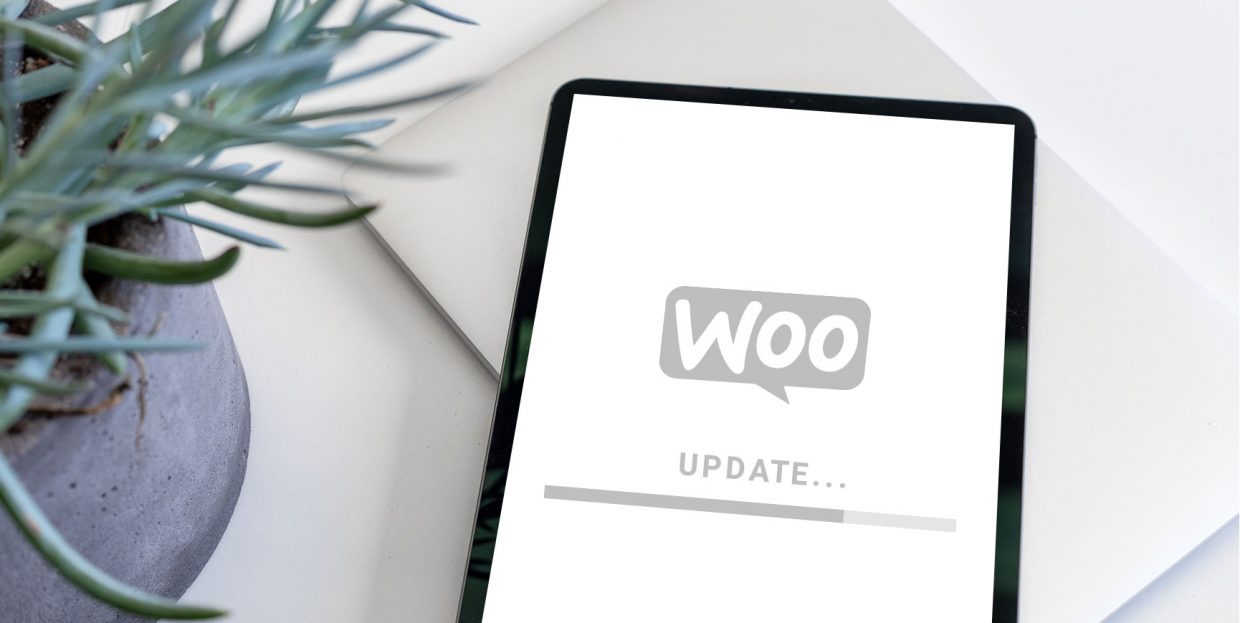 How to Update WooCommerce the Right Way