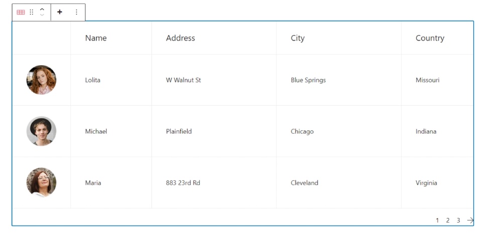 Data Table Gutenberg Column Widths