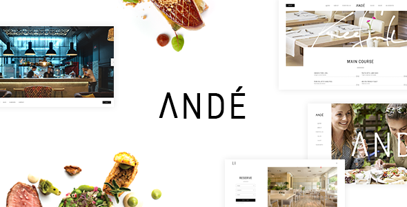 Ande WordPress Theme