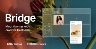 Bridge WordPress Theme