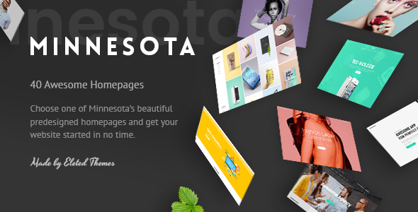 Minnesota Wordpress Theme