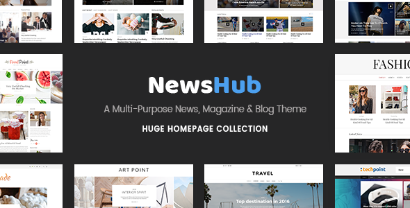 Newshub Wordpress Theme