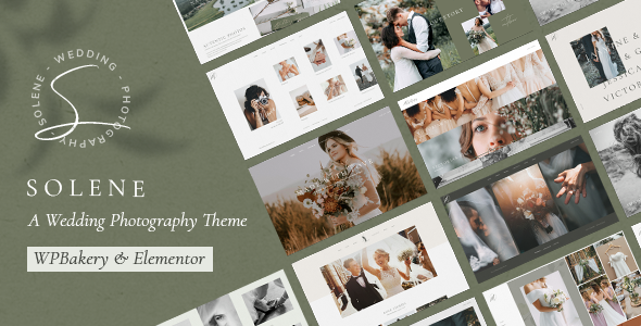 Solene WordPress Theme