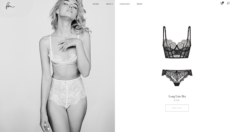 7 Lingerie WordPress Themes for Lingerie and Underwear Websites