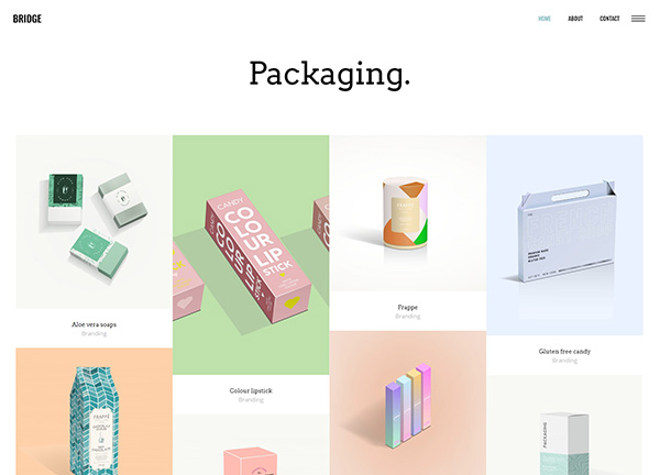 Package Design Portfolio Bridge Theme Demo