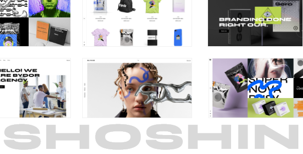 Shoshin - Digital Agency Theme