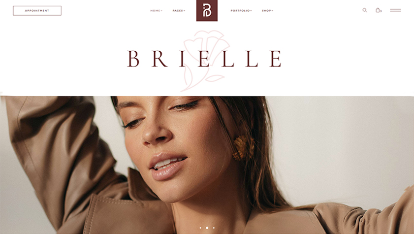 Brielle Wordpress Theme