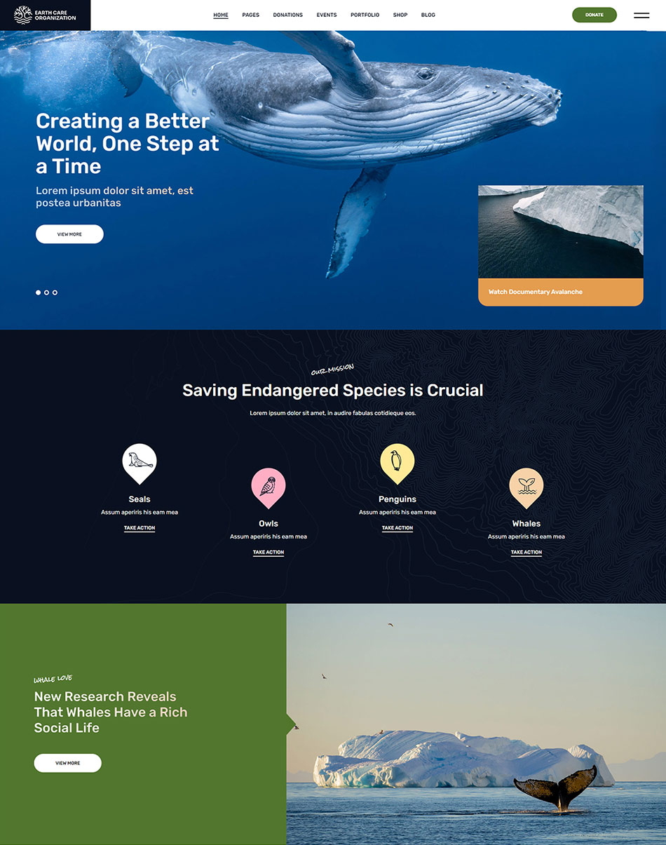 EarthCare WordPress Theme