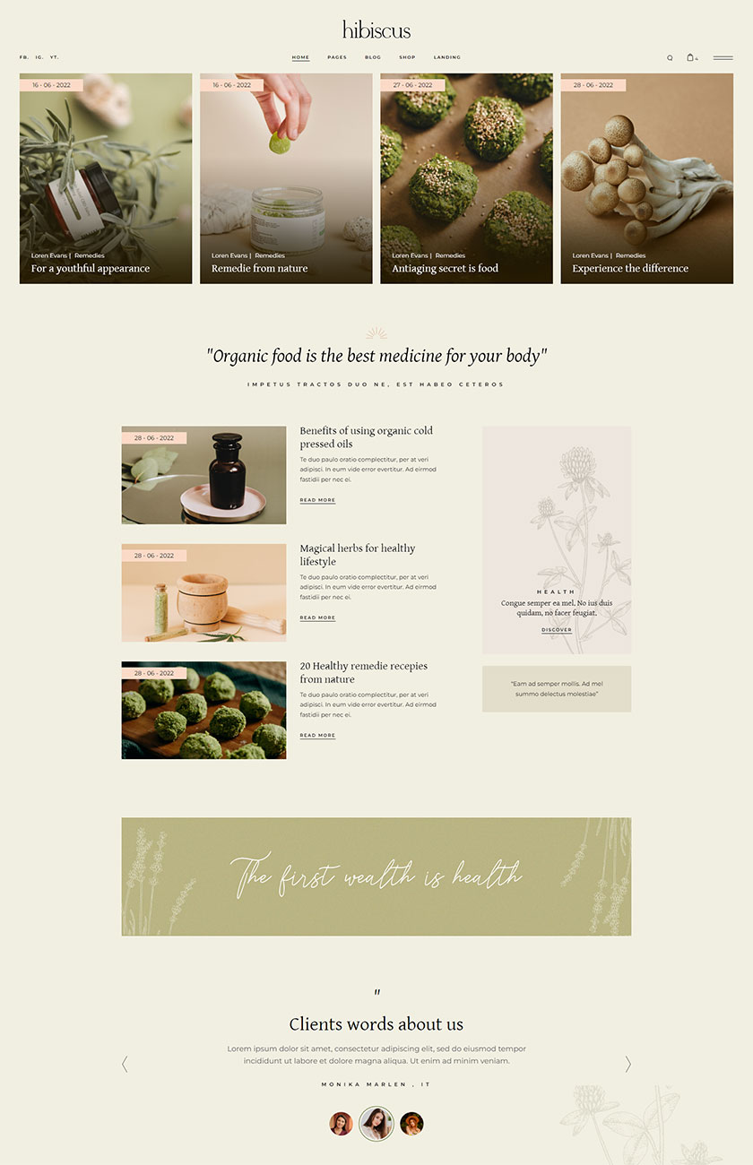 Hibiscus WordPress Theme