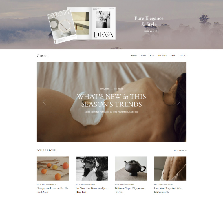 Gavino WordPress Theme