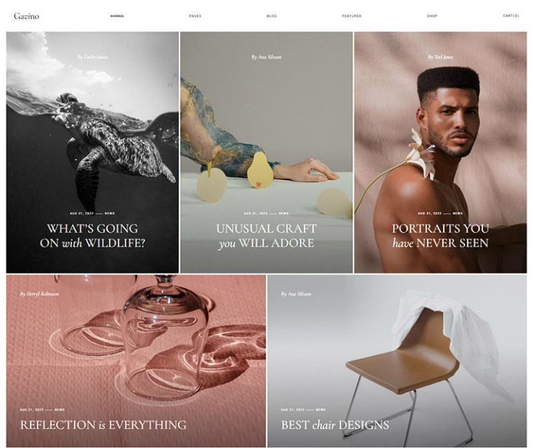 Gavino WordPress Theme