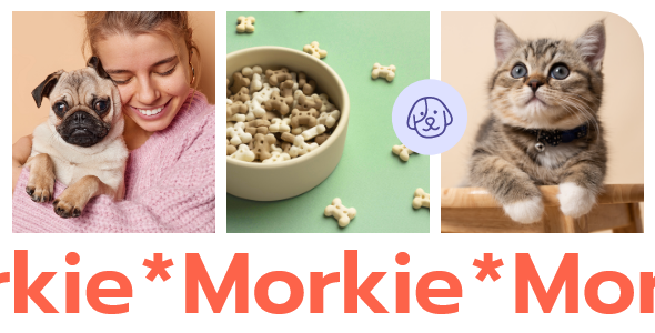 Morkie - Pet Shop and Pet Care Theme