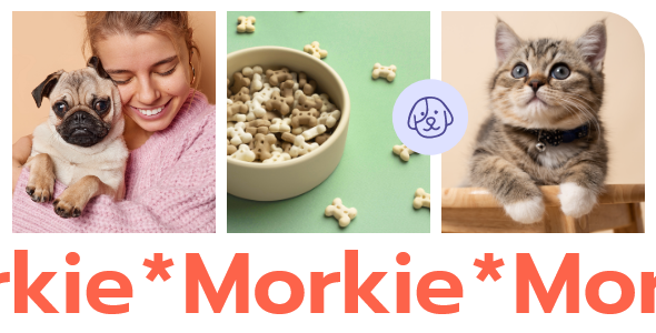 Morkie WordPress Theme