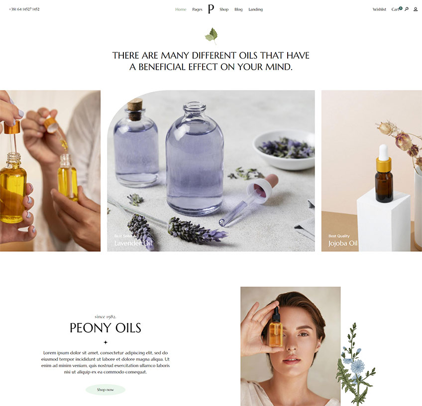 Peony WordPress Theme