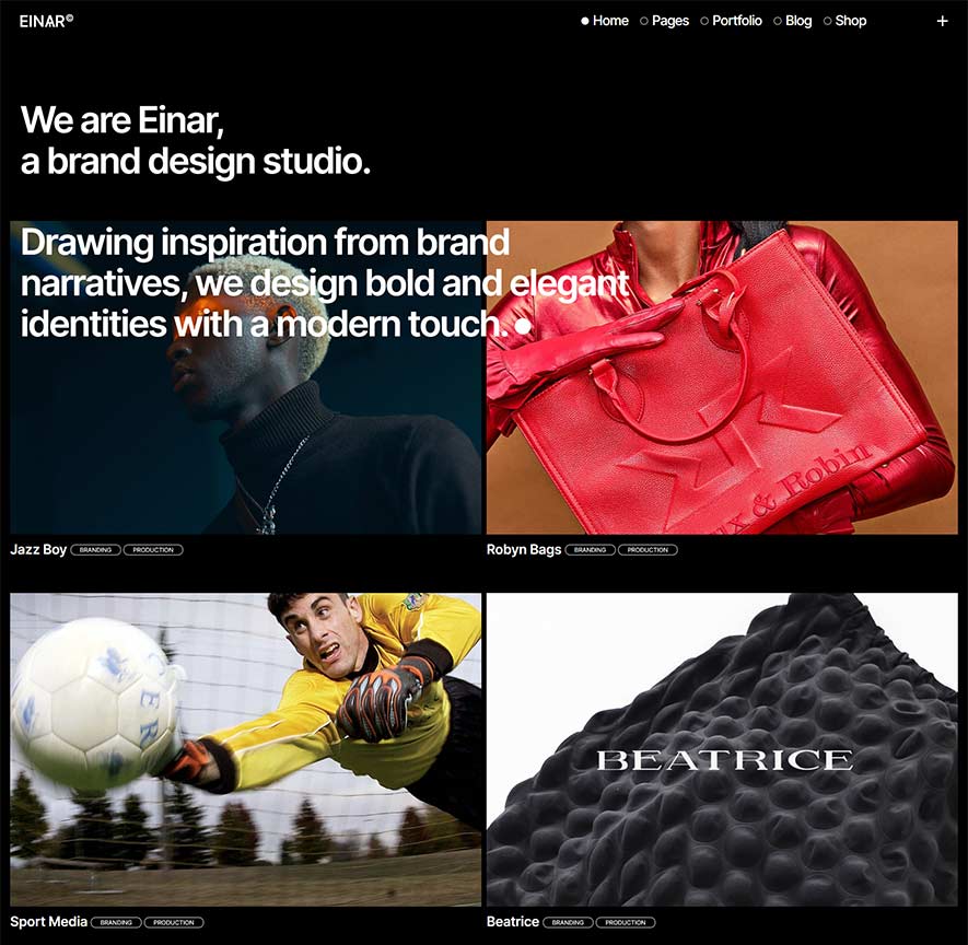 Einar WordPress Theme