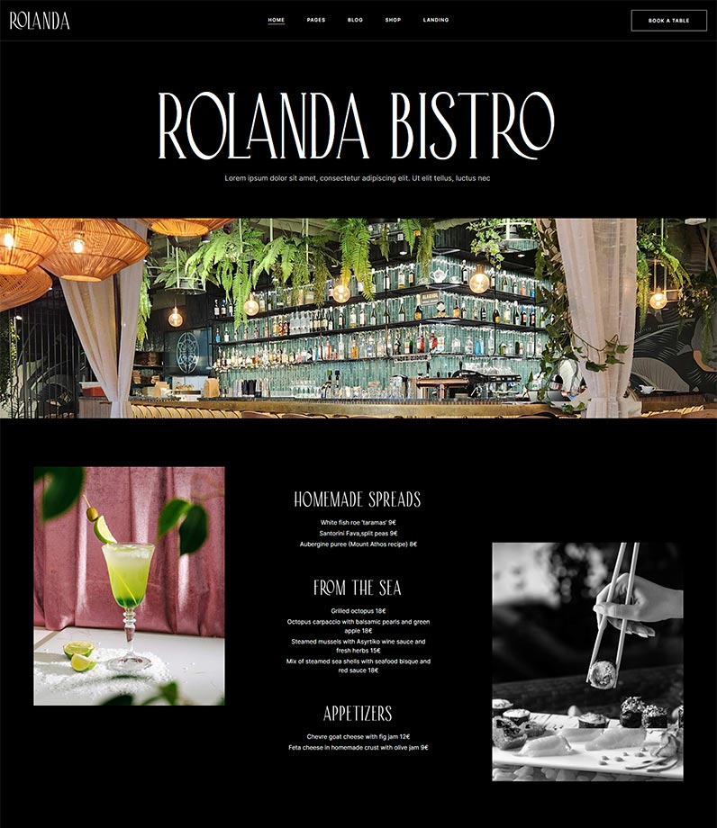 Rolanda-Wordpress-theme